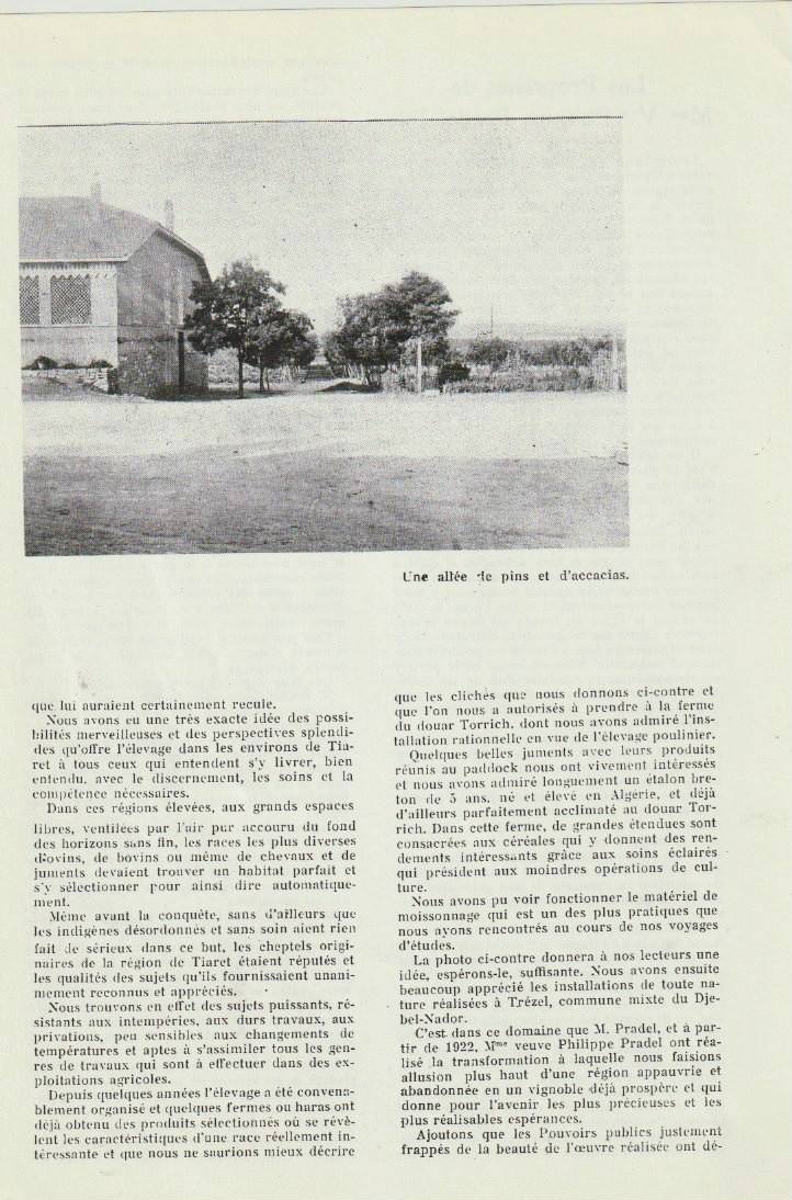 Les propriétés de la veuve de Philippe II, suite, avec une vue de la ferme et de ses bâtiments.