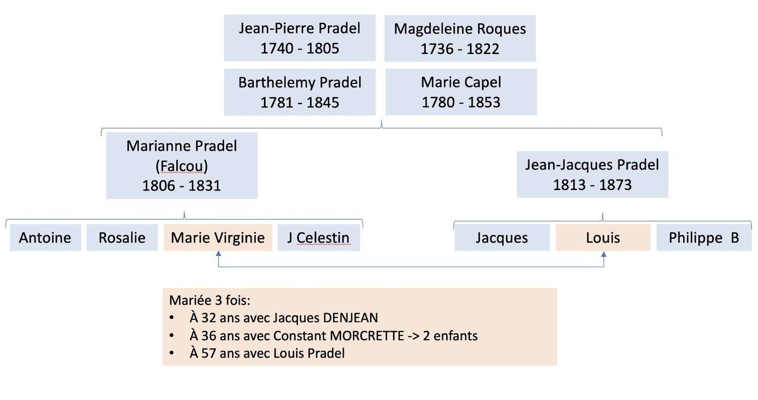 Détail : la branche Falcou. Marianne Pradel × Antoine Falcou, et leurs quatre enfants. Marie-Virginie, dite « La Clouque », s’est mariée trois f